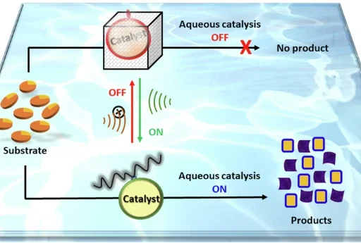 Aqueous Organocatalysis