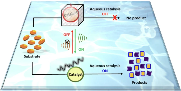 Aqueous Organocatalysis